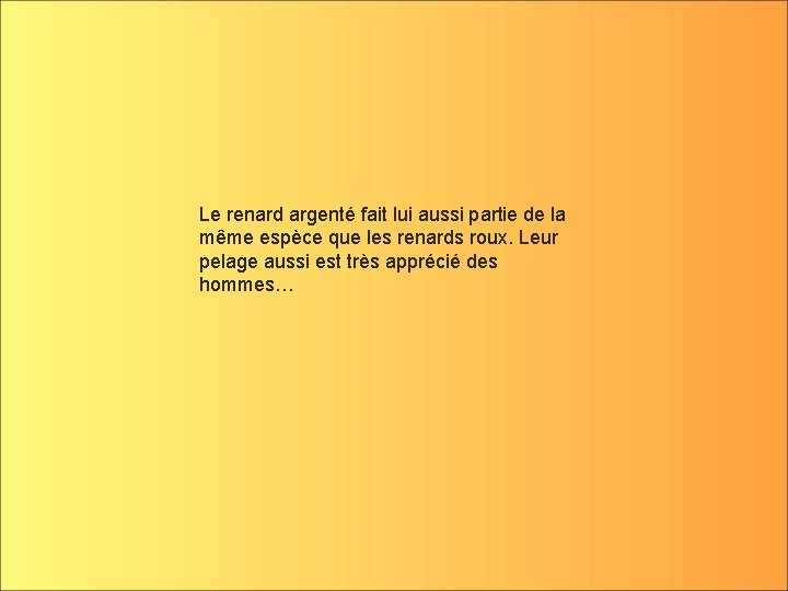 Le renard argenté fait lui aussi partie de la même espèce que les renards