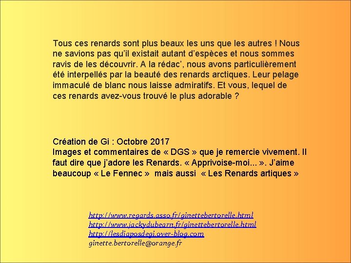 Tous ces renards sont plus beaux les uns que les autres ! Nous ne