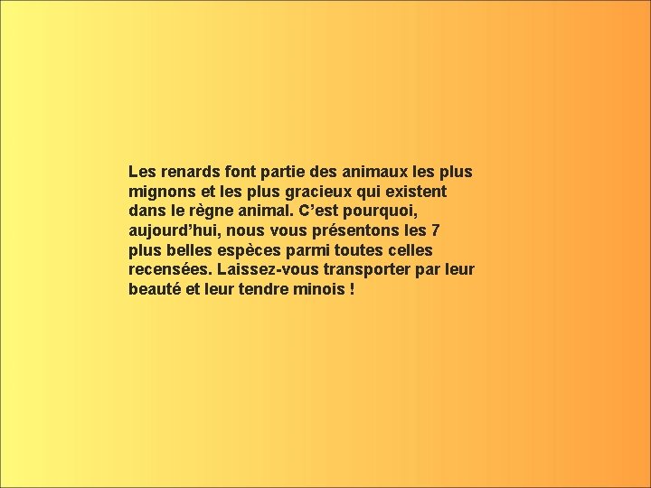 Les renards font partie des animaux les plus mignons et les plus gracieux qui