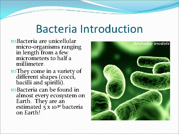 Bacteria Introduction Bacteria are unicellular micro-organisms ranging in length from a few micrometers to