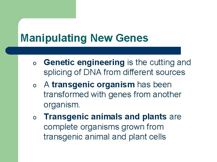 Manipulating New Genes o o o Genetic engineering is the cutting and splicing of