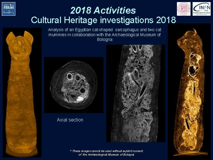 2018 Activities Cultural Heritage investigations 2018 Analysis of an Egyptian cat-shaped sarcophagus and two 2018 Activities Cultural Heritage investigations 2018 Analysis of an Egyptian cat-shaped sarcophagus and two