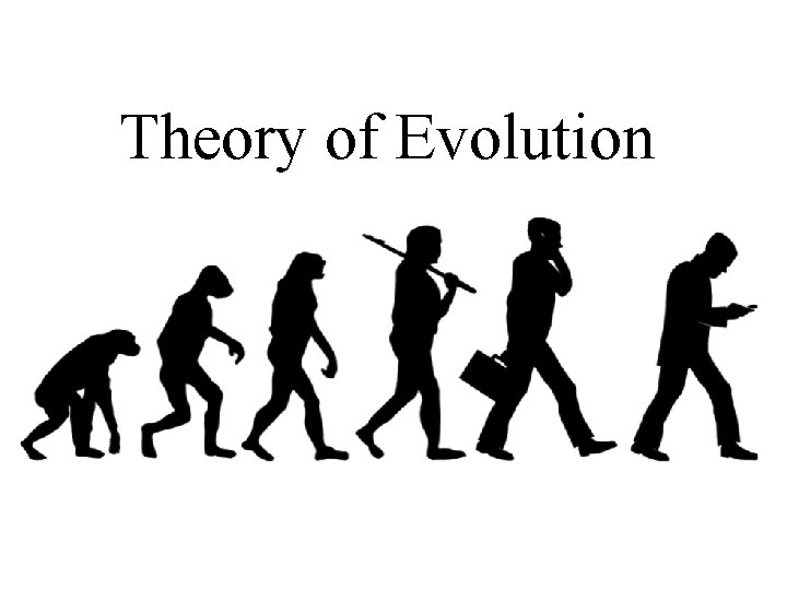 Theory of Evolution 