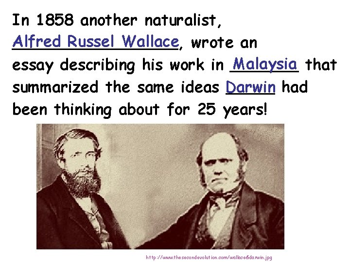 In 1858 another naturalist, Alfred Russel Wallace wrote an _________, Malaysia that essay describing