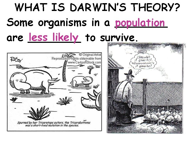 WHAT IS DARWIN’S THEORY? Some organisms in a ____ population less likely to survive.