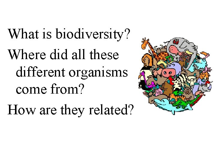 What is biodiversity? Where did all these different organisms come from? How are they