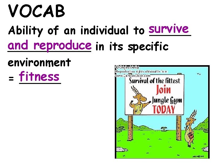 VOCAB Ability of an individual to survive ______ and reproduce in its specific ______