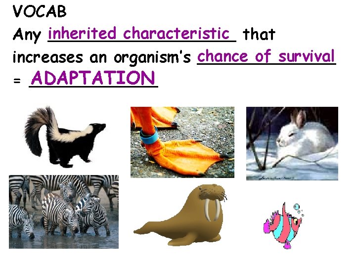 VOCAB inherited characteristic that Any __________ of survival increases an organism’s chance _______ ADAPTATION