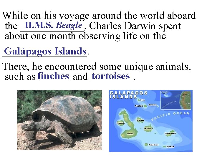 While on his voyage around the world aboard H. M. S. Beagle Charles Darwin