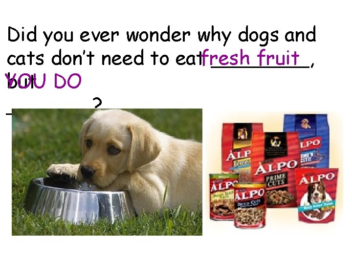 Did you ever wonder why dogs and cats don’t need to eatfresh ____, fruit
