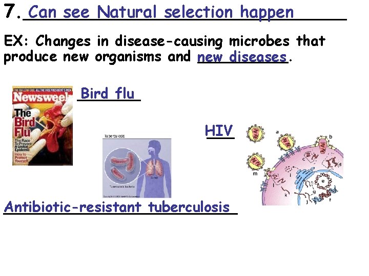 Can see Natural selection happen 7. ______________ EX: Changes in disease-causing microbes that produce