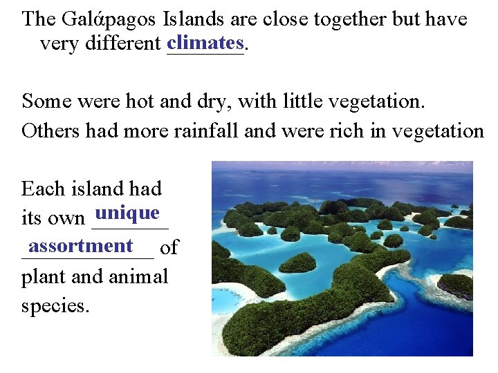 The Galάpagos Islands are close together but have climates very different _______. Some were
