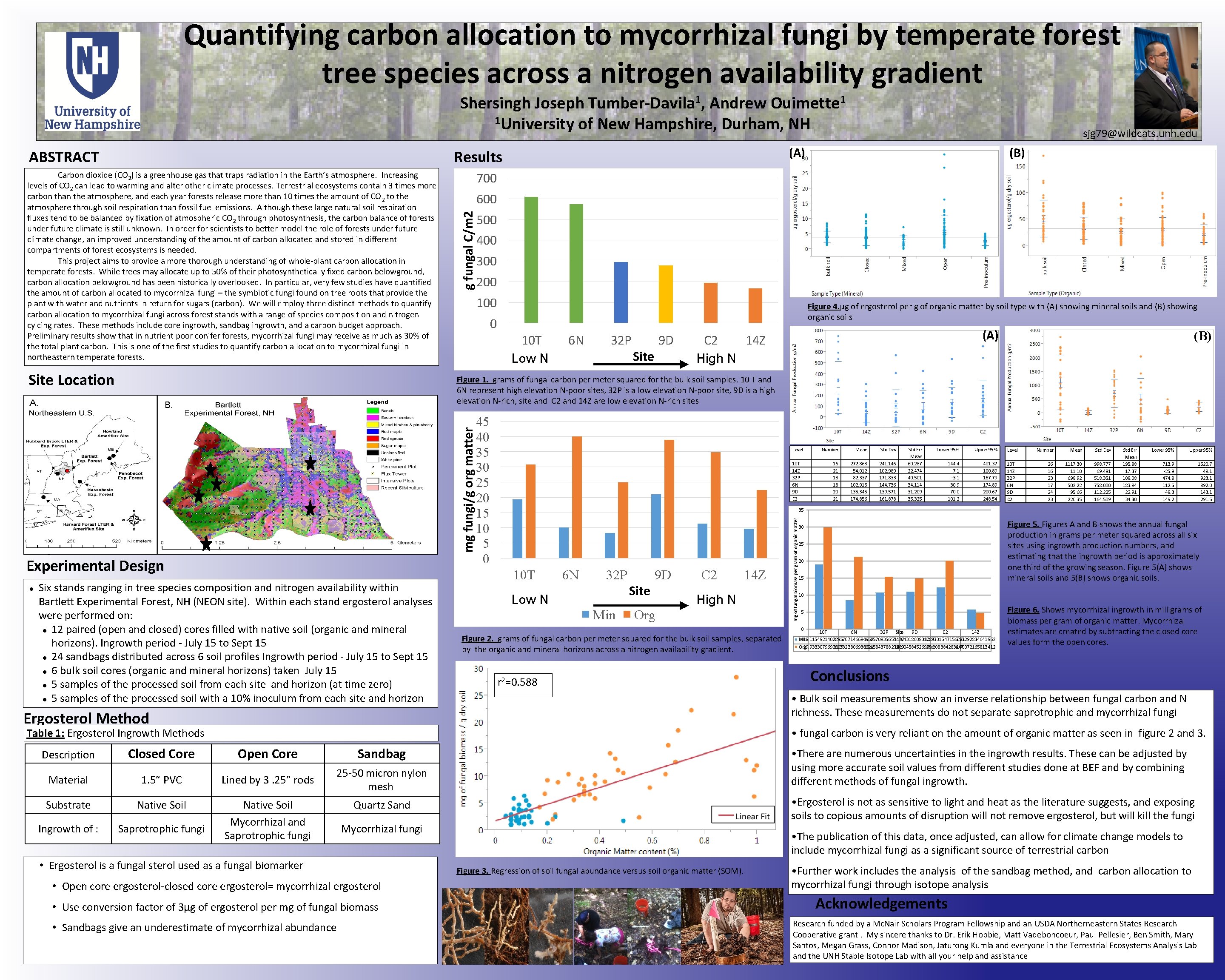 Quantifying carbon allocation to mycorrhizal fungi by temperate forest tree species across a nitrogen