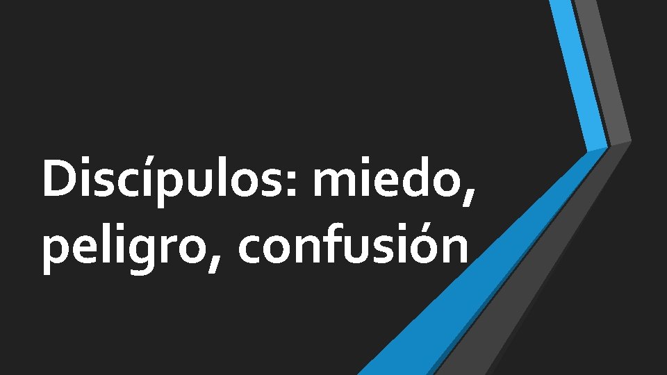 Discípulos: miedo, peligro, confusión 