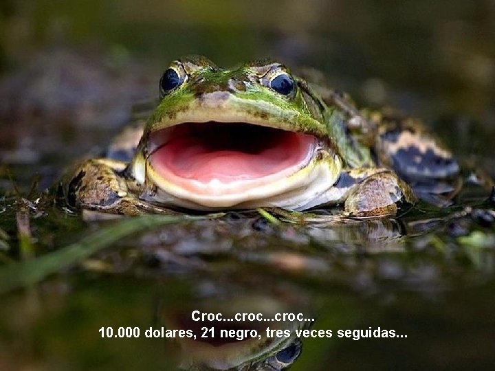 Croc. . . croc. . . 10. 000 dolares, 21 negro, tres veces seguidas.