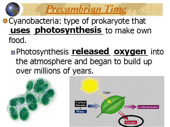 Precambrian Time Cyanobacteria: type of prokaryote that photosynthesis to make own uses ________ food.