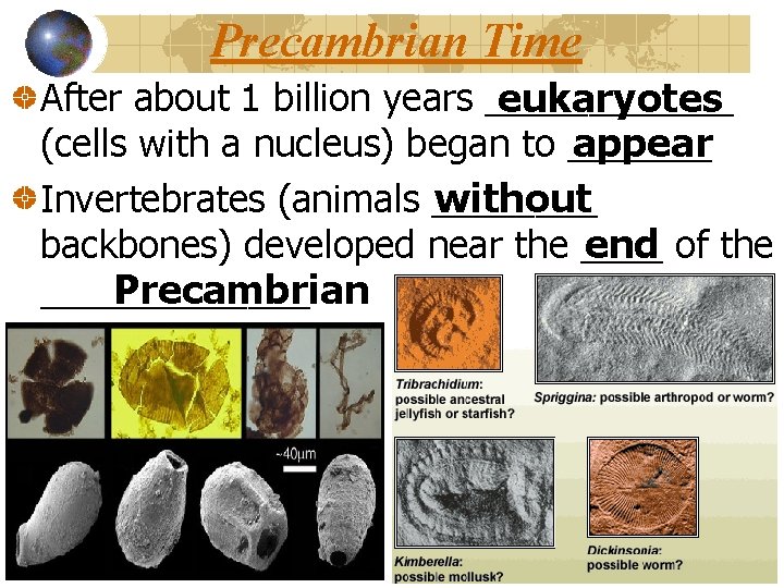 Precambrian Time After about 1 billion years ______ eukaryotes appear (cells with a nucleus)