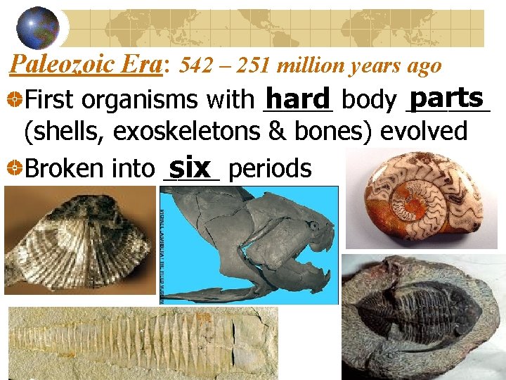 Paleozoic Era: 542 – 251 million years ago parts hard body ______ First organisms