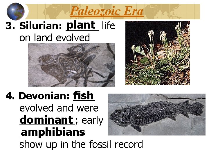 Paleozoic Era plant life 3. Silurian: ______ on land evolved fish 4. Devonian: ____