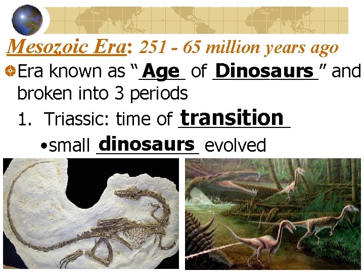 Mesozoic Era: 251 - 65 million years ago Age of ______ Dinosaurs ” and