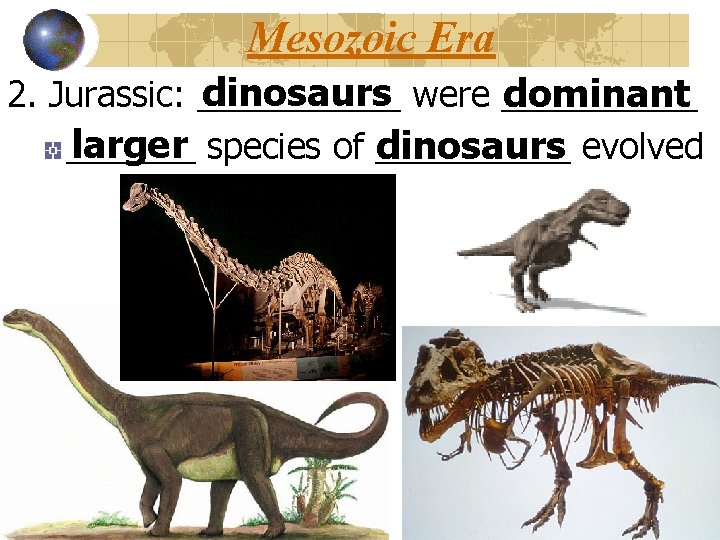 Mesozoic Era dinosaurs were _____ dominant 2. Jurassic: ______ larger species of _______ dinosaurs