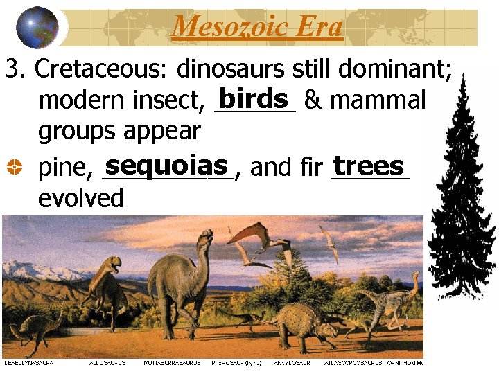 Mesozoic Era 3. Cretaceous: dinosaurs still dominant; birds & mammal modern insect, ______ groups