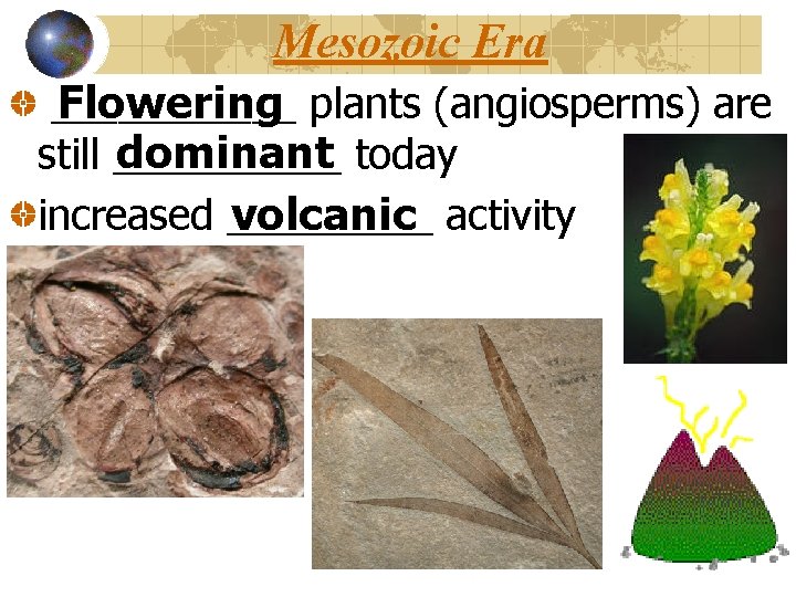Mesozoic Era Flowering plants (angiosperms) are ______ dominant today still _____ volcanic activity increased