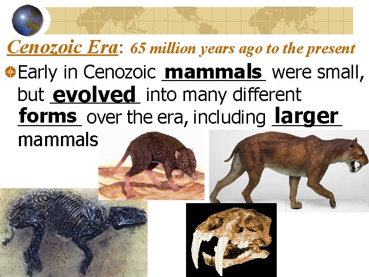 Cenozoic Era: 65 million years ago to the present mammals were small, Early in