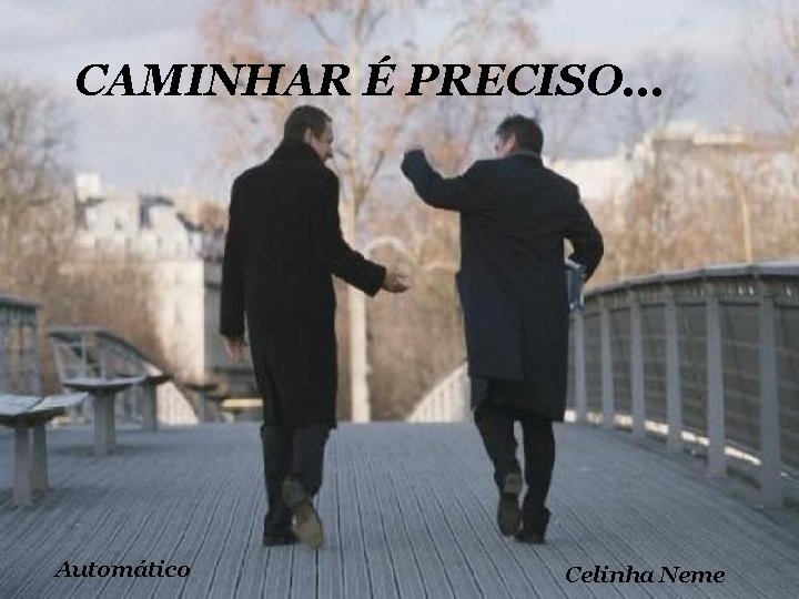 CAMINHAR É PRECISO. . . Automático Celinha Neme 