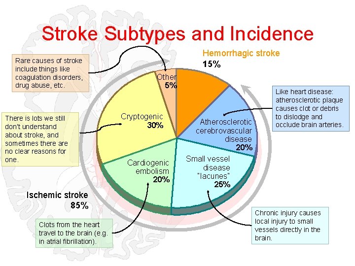 Stroke Subtypes and Incidence Rare causes of stroke include things like coagulation disorders, drug