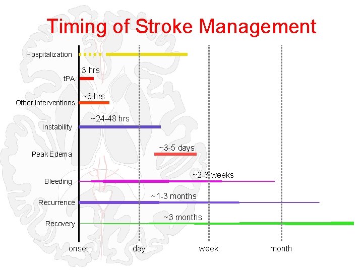 Timing of Stroke Management Hospitalization t. PA Other interventions 3 hrs ~6 hrs Instability