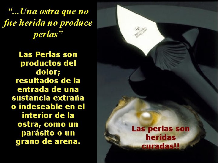 “. . . Una ostra que no fue herida no produce perlas” Las Perlas “. . . Una ostra que no fue herida no produce perlas” Las Perlas
