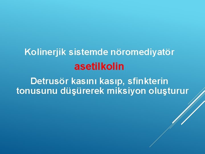 Kolinerjik sistemde nöromediyatör asetilkolin Detrusör kasını kasıp, sfinkterin tonusunu düşürerek miksiyon oluşturur 