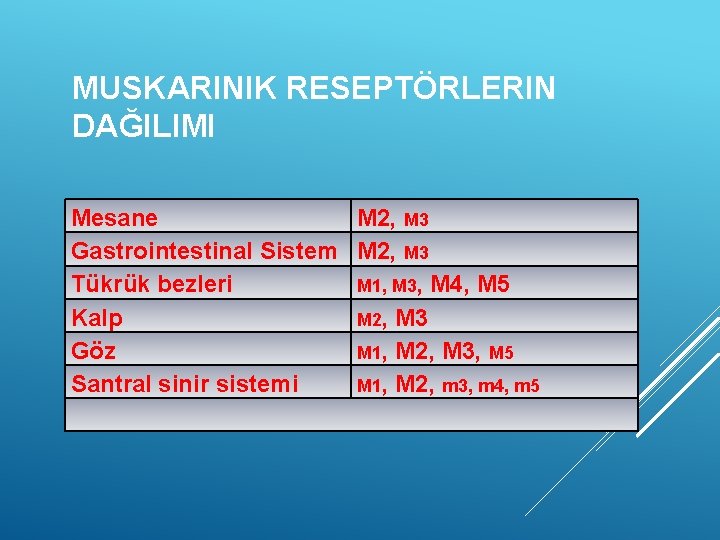 MUSKARINIK RESEPTÖRLERIN DAĞILIMI Mesane M 2, M 3 Gastrointestinal Sistem M 2, M 3