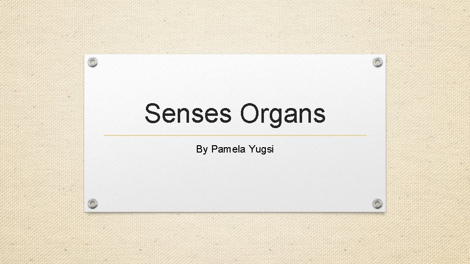 Senses Organs By Pamela Yugsi 