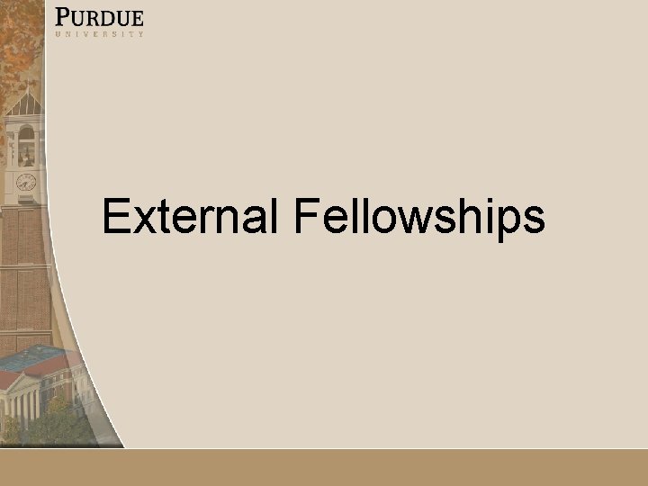 External Fellowships 