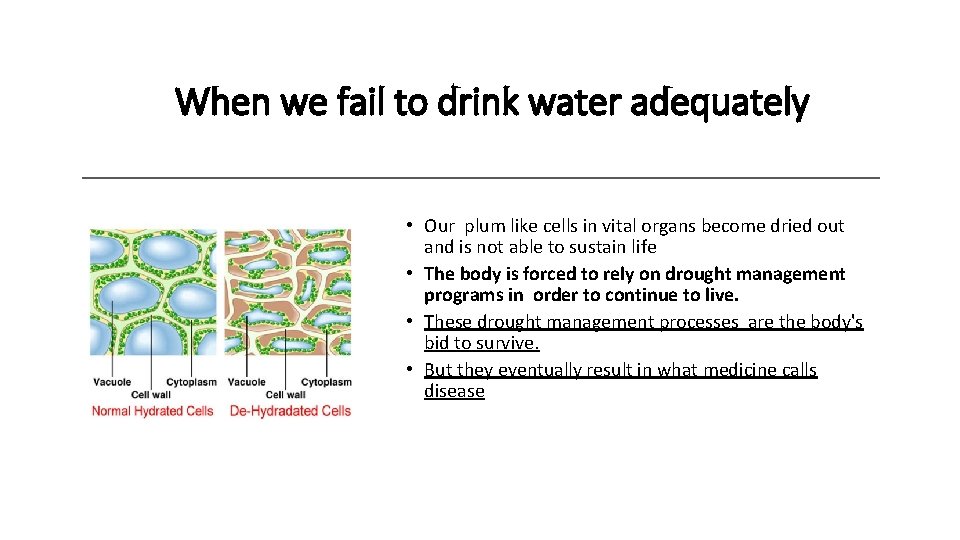 When we fail to drink water adequately • Our plum like cells in vital When we fail to drink water adequately • Our plum like cells in vital