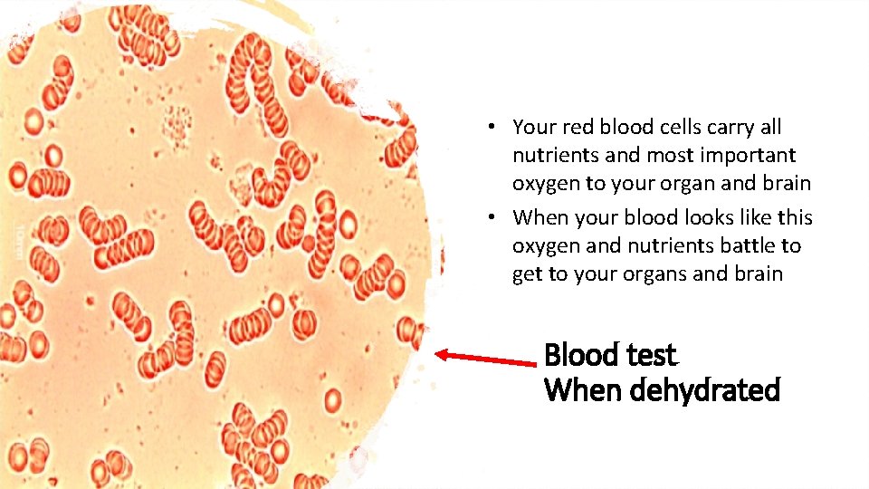 • Your red blood cells carry all nutrients and most important oxygen to • Your red blood cells carry all nutrients and most important oxygen to