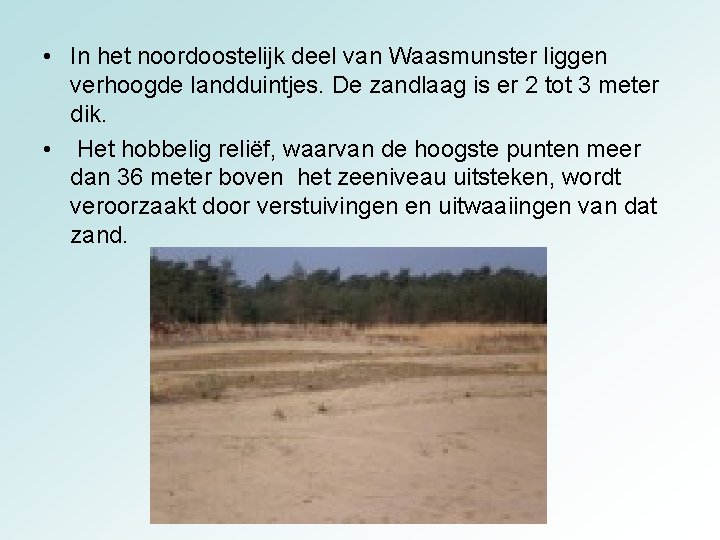  • In het noordoostelijk deel van Waasmunster liggen verhoogde landduintjes. De zandlaag is