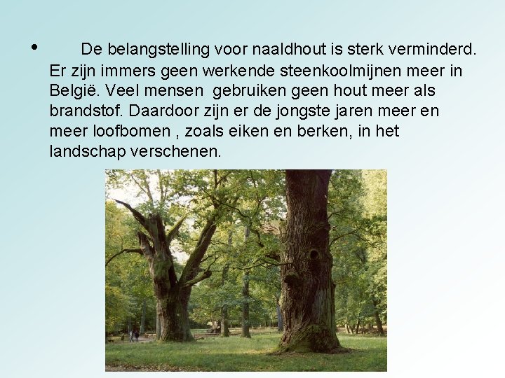 • De belangstelling voor naaldhout is sterk verminderd. Er zijn immers geen werkende • De belangstelling voor naaldhout is sterk verminderd. Er zijn immers geen werkende