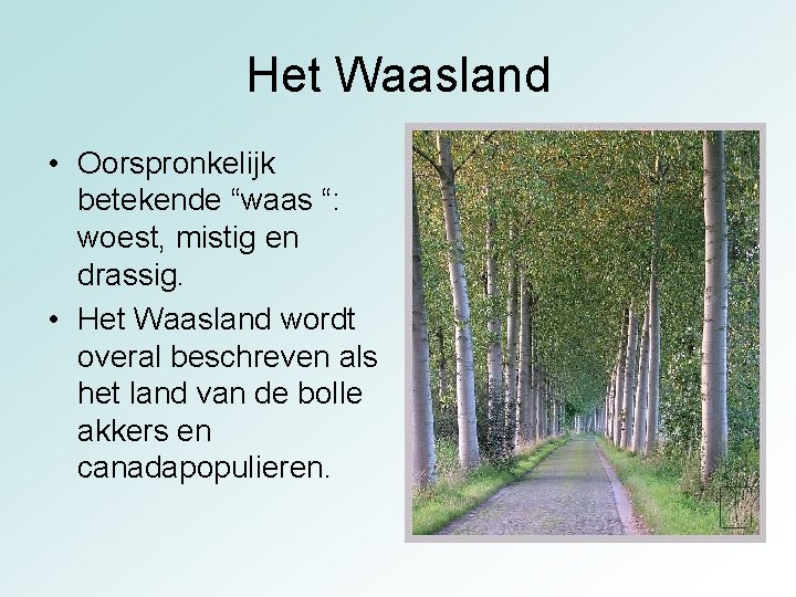 Het Waasland • Oorspronkelijk betekende “waas “: woest, mistig en drassig. • Het Waasland