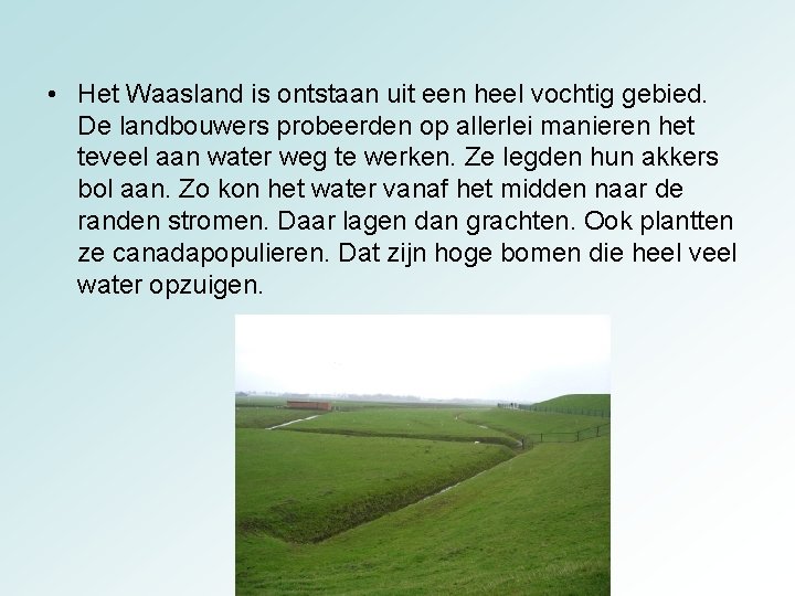  • Het Waasland is ontstaan uit een heel vochtig gebied. De landbouwers probeerden