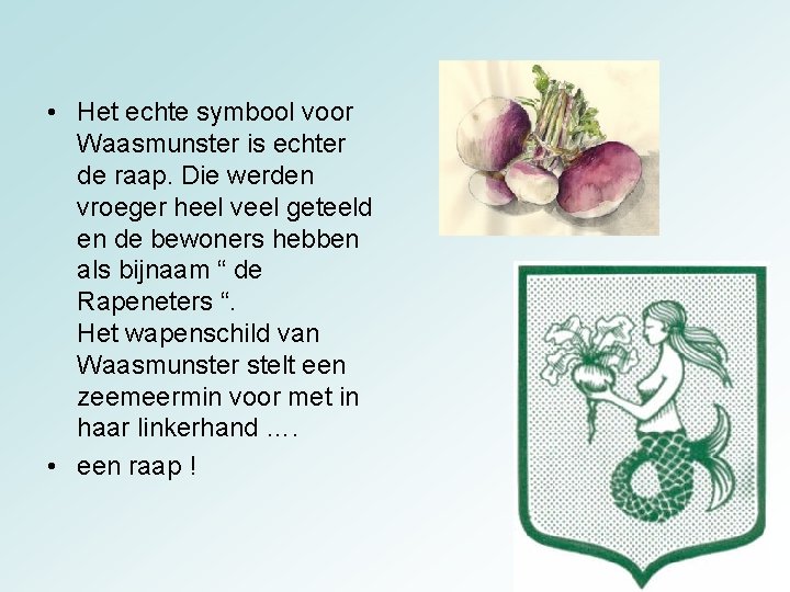  • Het echte symbool voor Waasmunster is echter de raap. Die werden vroeger