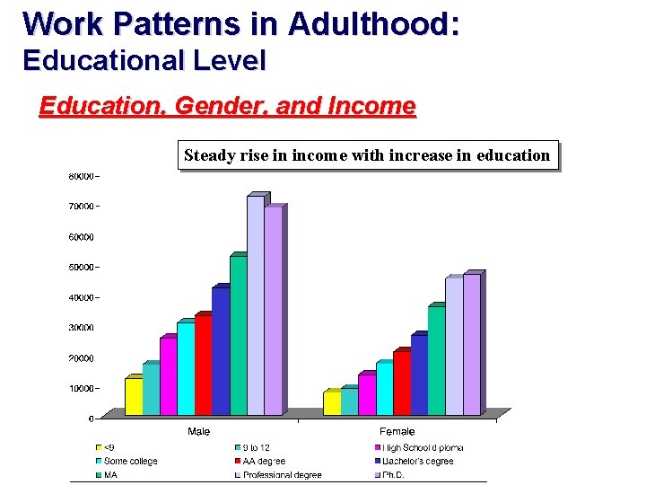 Work Patterns in Adulthood: Educational Level Education, Gender, and Income Steady rise in income