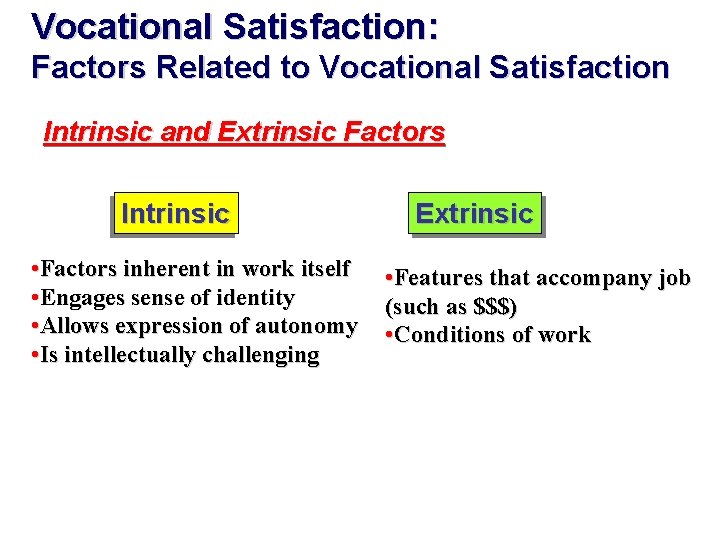 Vocational Satisfaction: Factors Related to Vocational Satisfaction Intrinsic and Extrinsic Factors Intrinsic • Factors