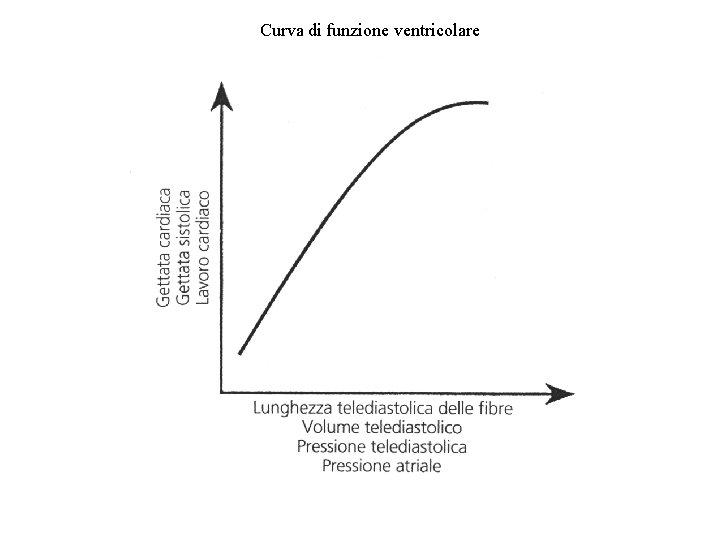 Curva di funzione ventricolare 