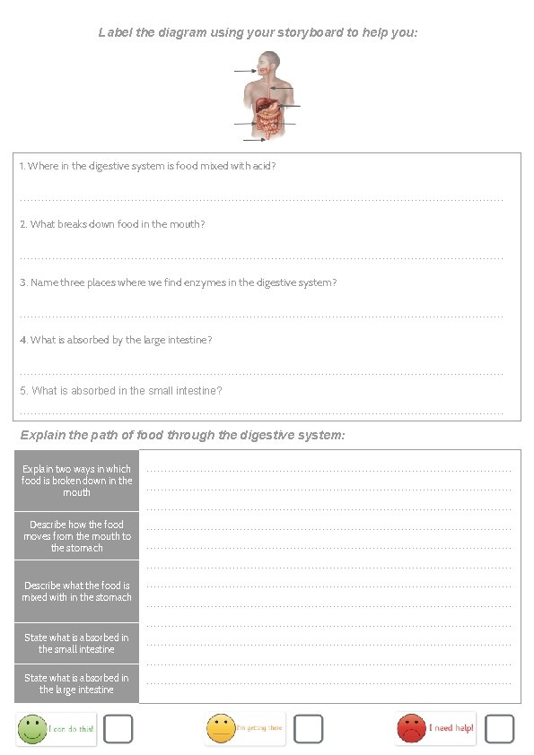 Label the diagram using your storyboard to help you: 1. Where in the digestive