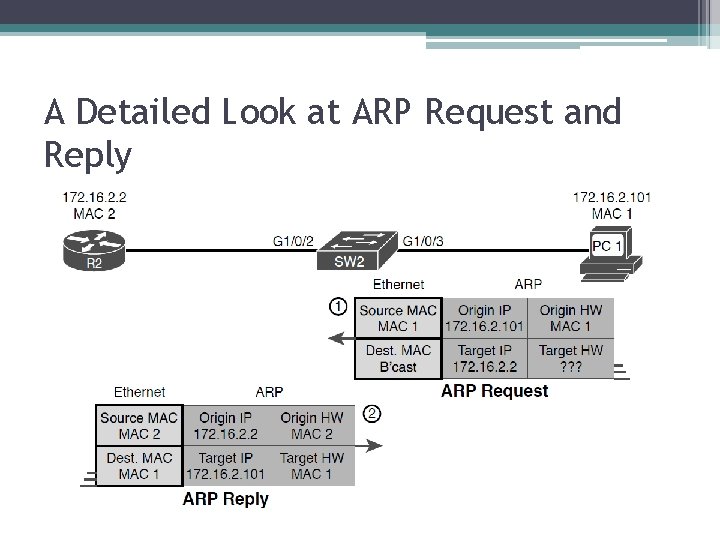 A Detailed Look at ARP Request and Reply 