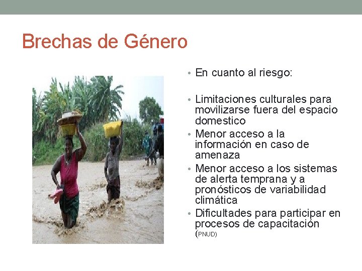 Brechas de Género • En cuanto al riesgo: • Limitaciones culturales para movilizarse fuera Brechas de Género • En cuanto al riesgo: • Limitaciones culturales para movilizarse fuera
