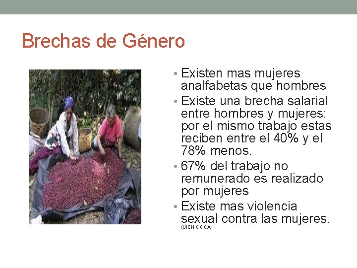 Brechas de Género • Existen mas mujeres analfabetas que hombres • Existe una brecha Brechas de Género • Existen mas mujeres analfabetas que hombres • Existe una brecha
